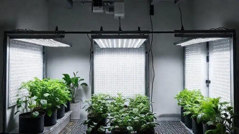 3 métodos de construção de painéis LED DIY para 0.5m² de área de cultivo