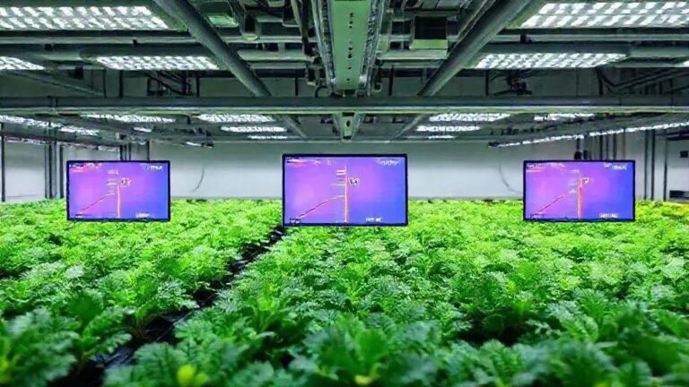 5 formas de monitorar a temperatura da água (18°C-22°C) em NFT sem termostato