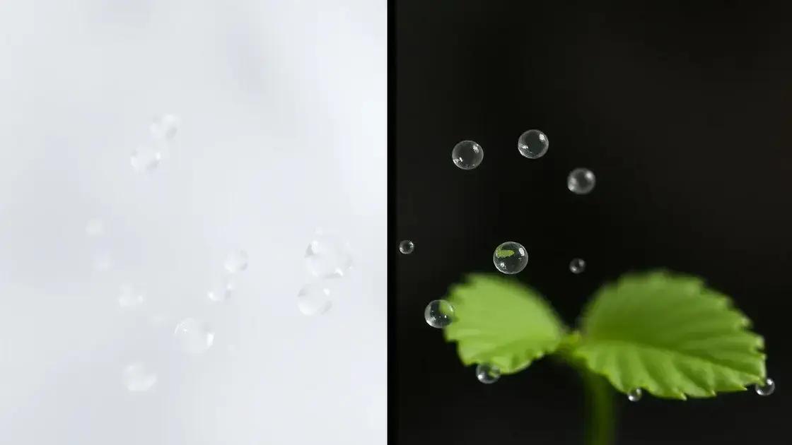  Aquecedor de aquário de 50W: O custo e a instalação no reservatório de 20L